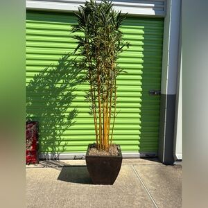 Tall Artificial Bamboo Plant in Black Planter